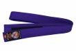 Photo1: BULLTERRIER Premium Heavy Belt Purple (1)