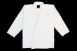 Photo1: BULLTERRIER Jiu-Jitsu Gi WHITEOUT White (1)