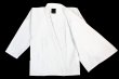 Photo2: BULLTERRIER Jiu-Jitsu Gi WHITEOUT White (2)
