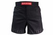 Photo1: BULL TERRIER Fight Shorts SHORT FIRE Black (1)