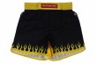 Photo4: BULL TERRIER Fight Shorts SHORT FIRE Black/Yellow (4)