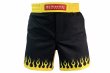 Photo1: BULL TERRIER Fight Shorts SHORT FIRE Black/Yellow (1)