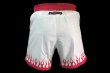 Photo2: BULL TERRIER Fight Shorts SHORT FIRE White/Pink (2)