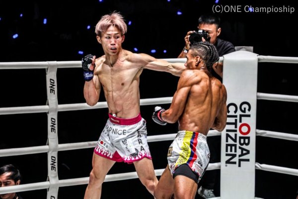 Photo6: BULL TERRIER Fight Shorts SHORT FIRE White/Pink (6)