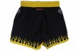 Photo5: BULL TERRIER Fight Shorts SHORT FIRE Black/Yellow (5)