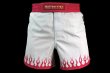 Photo1: BULL TERRIER Fight Shorts SHORT FIRE White/Pink (1)