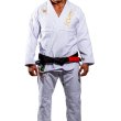 Photo2: KVRA Jiu-Jitsu Gi GOLD ARTE White (2)