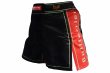 Photo1: BULL TERRIER Fight Shorts Short Fit TRADITIONAL 4.0 Black (1)