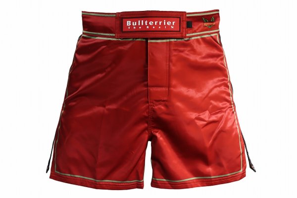 Photo2: BULL TERRIER Fight Shorts Short Fit TRADITIONAL 4.0 Wine (2)