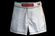 Photo2: BULL TERRIER Fight Shorts Short Fit TRADITIONAL 4.0 White/Orange (2)