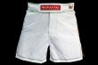 Photo2: BULL TERRIER Fight Shorts Short Fit TRADITIONAL 4.0 White/Red (2)