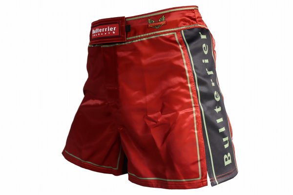 Photo1: BULL TERRIER Fight Shorts Short Fit TRADITIONAL 4.0 Wine (1)