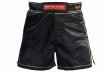 Photo2: BULL TERRIER Fight Shorts Short Fit TRADITIONAL 4.0 Black (2)