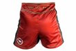 Photo3: BULL TERRIER Fight Shorts Short Fit TRADITIONAL 4.0 Wine (3)