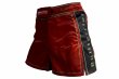 Photo2: BULL TERRIER Fight Shorts Short Fit TRADITIONAL 4.0 Wine (2)