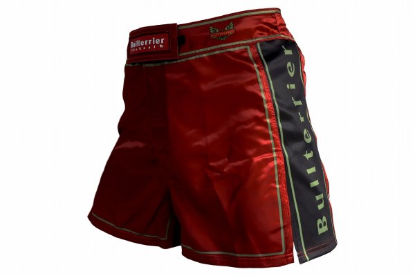 Photo2: BULL TERRIER Fight Shorts Short Fit TRADITIONAL 4.0 Wine (2)
