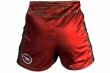 Photo3: BULL TERRIER Fight Shorts Short Fit TRADITIONAL 4.0 Wine (3)