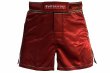 Photo1: BULL TERRIER Fight Shorts Short Fit TRADITIONAL 4.0 Wine (1)