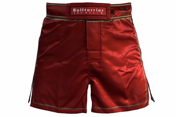 Photo1: BULL TERRIER Fight Shorts Short Fit TRADITIONAL 4.0 Wine (1)