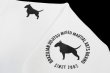 Photo5: BULL TERRIER Sweatshirt MOCOLOGO White (5)