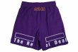 Photo5: BULL TERRIER Fight Shorts FIGHT&SPORTS Purple (5)