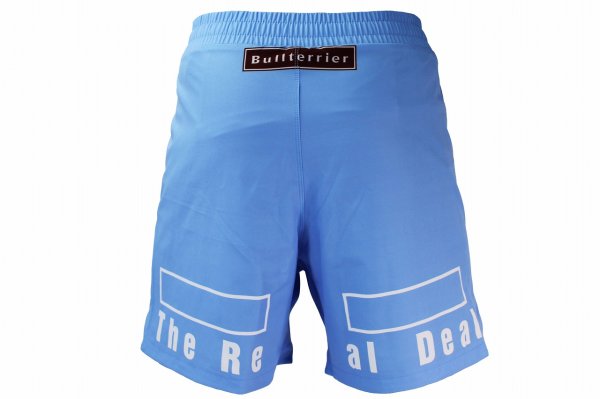 Photo3: BULL TERRIER Fight Shorts FIGHT&SPORTS Sky (3)