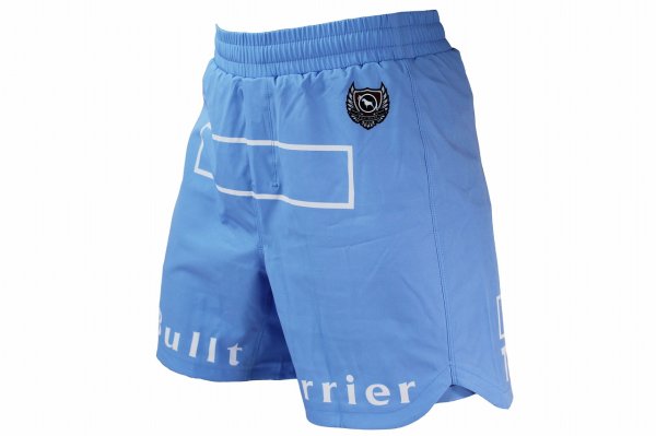 Photo2: BULL TERRIER Fight Shorts FIGHT&SPORTS Sky (2)