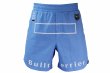 Photo1: BULL TERRIER Fight Shorts FIGHT&SPORTS Sky (1)