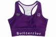 Photo1: BULL TERRIER Ladies Bra Top 3.0 Purple (1)