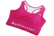 Photo3: BULL TERRIER Ladies Bra Top 3.0 Pink (3)