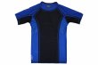 Photo5: BULL TERRIER Rashguard RANK 4.0 Short Sleeve Blue (5)