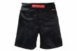 Photo2: BULL TERRIER Fight Shorts RANK 4.0 Black (2)