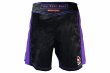 Photo3: BULL TERRIER Fight Shorts RANK 4.0 Purple (3)