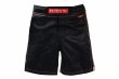 Photo2: BULL TERRIER Fight Shorts RANK 4.0 Brown (2)