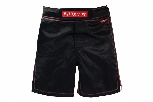 Photo2: BULL TERRIER Fight Shorts RANK 4.0 Brown (2)