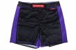 Photo4: BULL TERRIER Fight Shorts RANK 4.0 Purple (4)