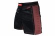 Photo1: BULL TERRIER Fight Shorts RANK 4.0 Brown (1)