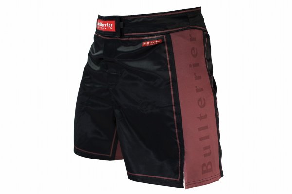 Photo1: BULL TERRIER Fight Shorts RANK 4.0 Brown (1)
