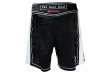 Photo3: BULL TERRIER Fight Shorts RANK 4.0 White (3)