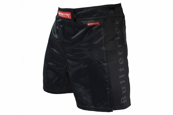 Photo1: BULL TERRIER Fight Shorts RANK 4.0 Black (1)