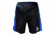 Photo3: BULL TERRIER Fight Shorts RANK 4.0 Blue (3)
