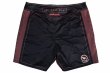 Photo5: BULL TERRIER Fight Shorts RANK 4.0 Brown (5)