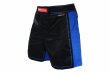 Photo1: BULL TERRIER Fight Shorts RANK 4.0 Blue (1)