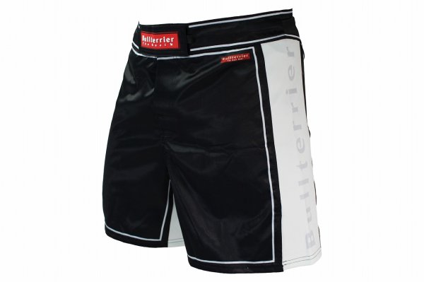 Photo1: BULL TERRIER Fight Shorts RANK 4.0 White (1)