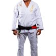 Photo2: KVRA Jiu-Jitsu Gi GOLD ARTE White (2)