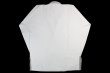 Photo3: BULLTERRIER Jiu-Jitsu Gi STANDARD LV White (3)