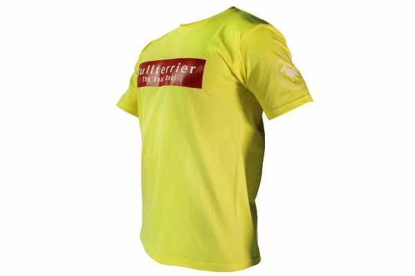 Photo5: BULL TERRIER T-Shirt BASIC LOGO Yellow (5)