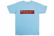 Photo1: BULL TERRIER T-Shirt BASIC LOGO Light Blue (1)
