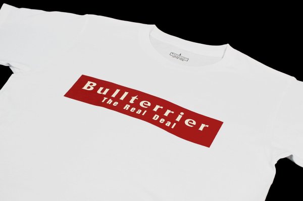 Photo3: BULL TERRIER T-Shirt BASIC LOGO White (3)
