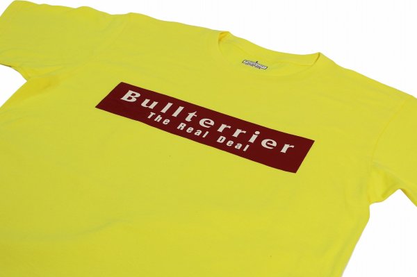 Photo3: BULL TERRIER T-Shirt BASIC LOGO Yellow (3)